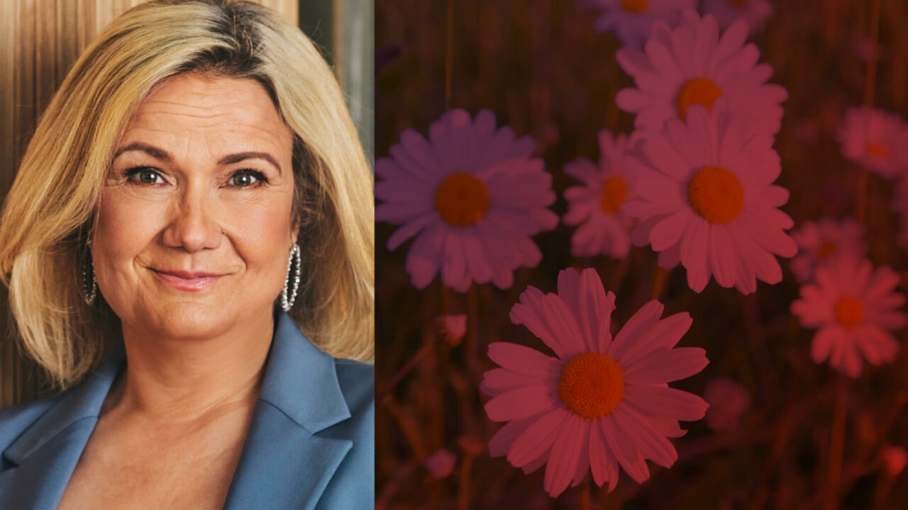 Cissi Elwin skriver om att fusionera två bolag