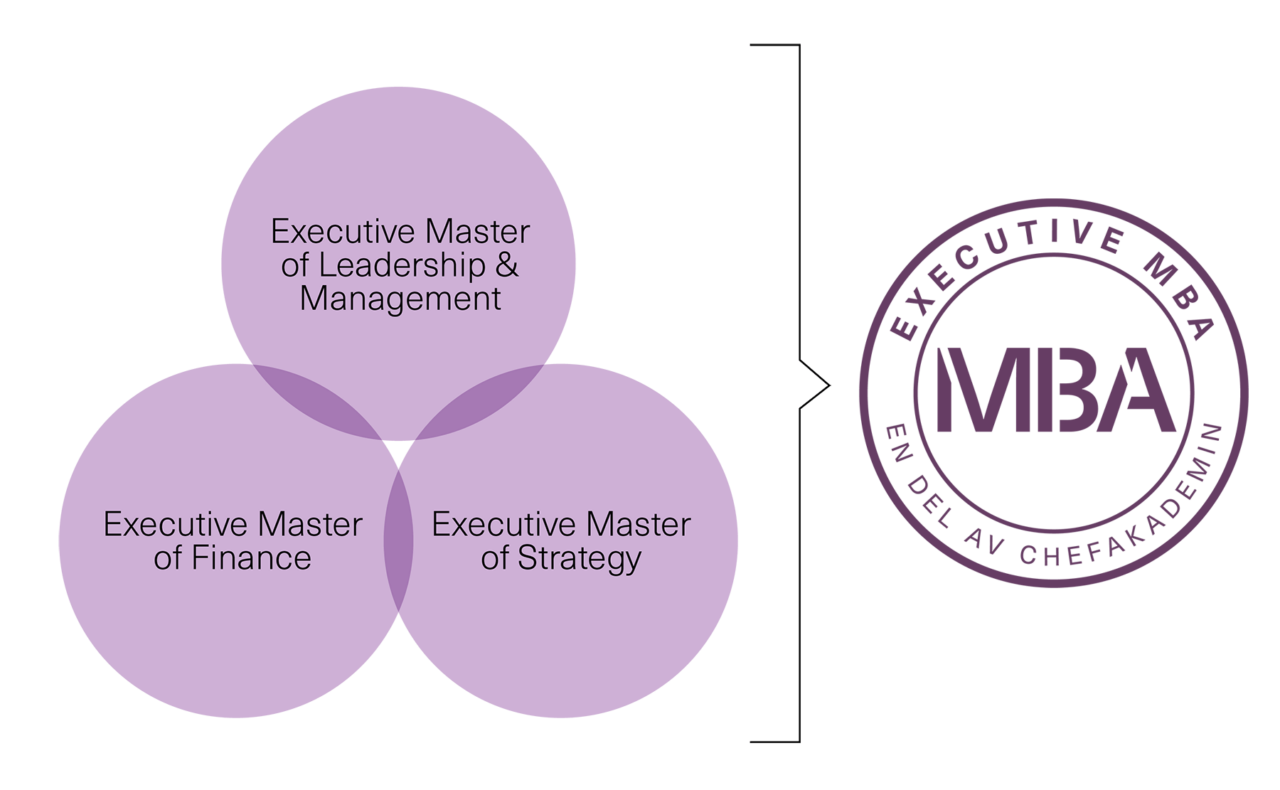 Tre delprogram utgör tillsammans en Executive MBA