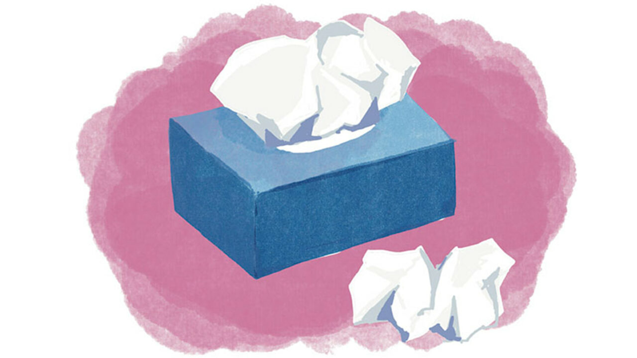 Illustration: Anna Harvard