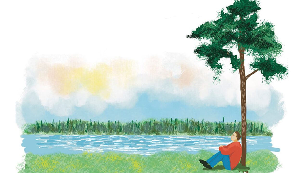 Illustration: Anna Harvard