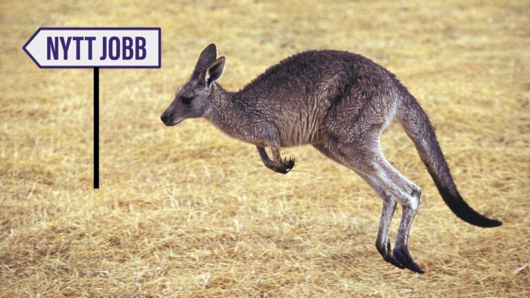 Den som byter jobb ofta får inte längre upp lönen snabbare.