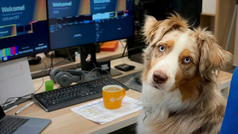 En hund sitter på en kontorsstol vid ett skrivbord med flera skärmar och en kaffekopp framför sig.