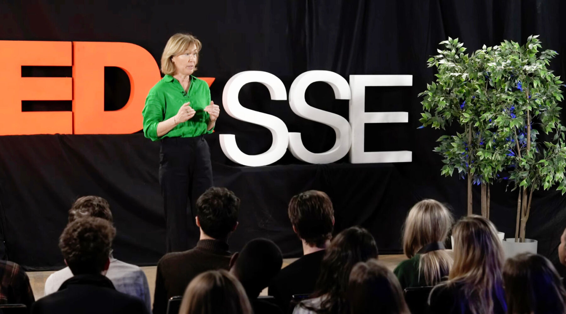 Pernilla Baralt TED talk