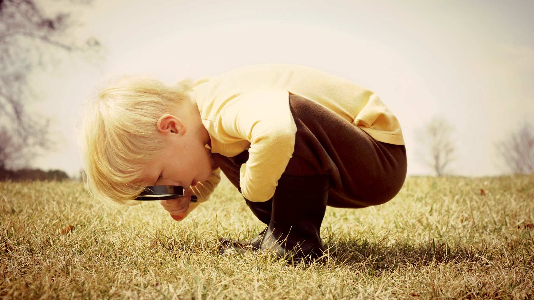 En liten, blond pojke undersöker en gräsmatta med ett förstoringsglas.
